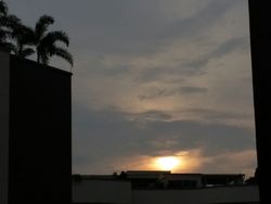 Edelweiss Park Condominium (D17), Condominium #162965242